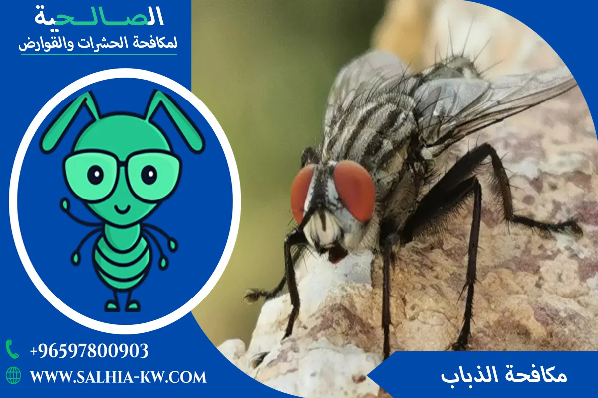 طرق مكافحة الذباب المنزلي 65781308 أتصل الان