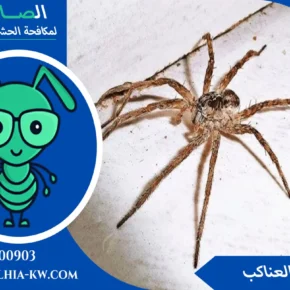 مبيدات العناكب