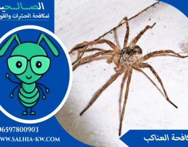 مبيدات العناكب