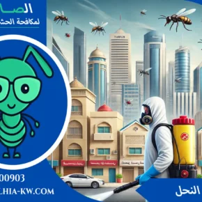 مكافحة الدبابير بالكويت