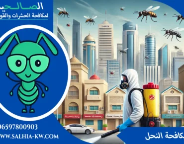 مكافحة الدبابير بالكويت