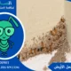 شركة ابادة النمل