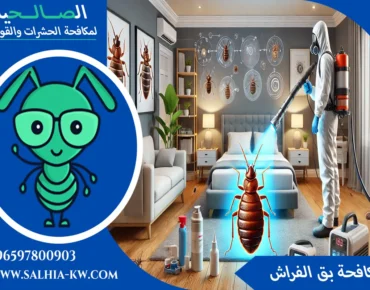 مكافحة بق الفراش الكويت