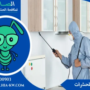 شركة رش حشرات في الكويت