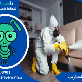 شركة حشرات
