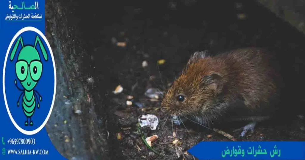 رش حشرات وقوارض