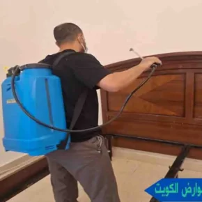 شركة مكافحة حشرات وقوارض الكويت مكافحه حشرات وقوارض بالكويت