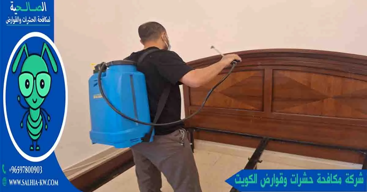 تخلص من الإزعاج الأبدي: خدمات شركة مكافحة حشرات وقوارض الكويت بأحدث التقنيات